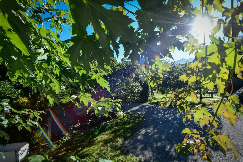 Gîte Casa Paulou (35)